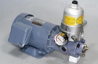 CALPEDA叶片泵TP100/A,2.2KW/2900rpm