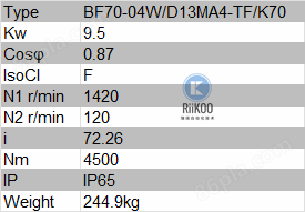 BAUER减速机BF70-04WD13MA4-TFK70 瑞阔自动化 riikoo.png